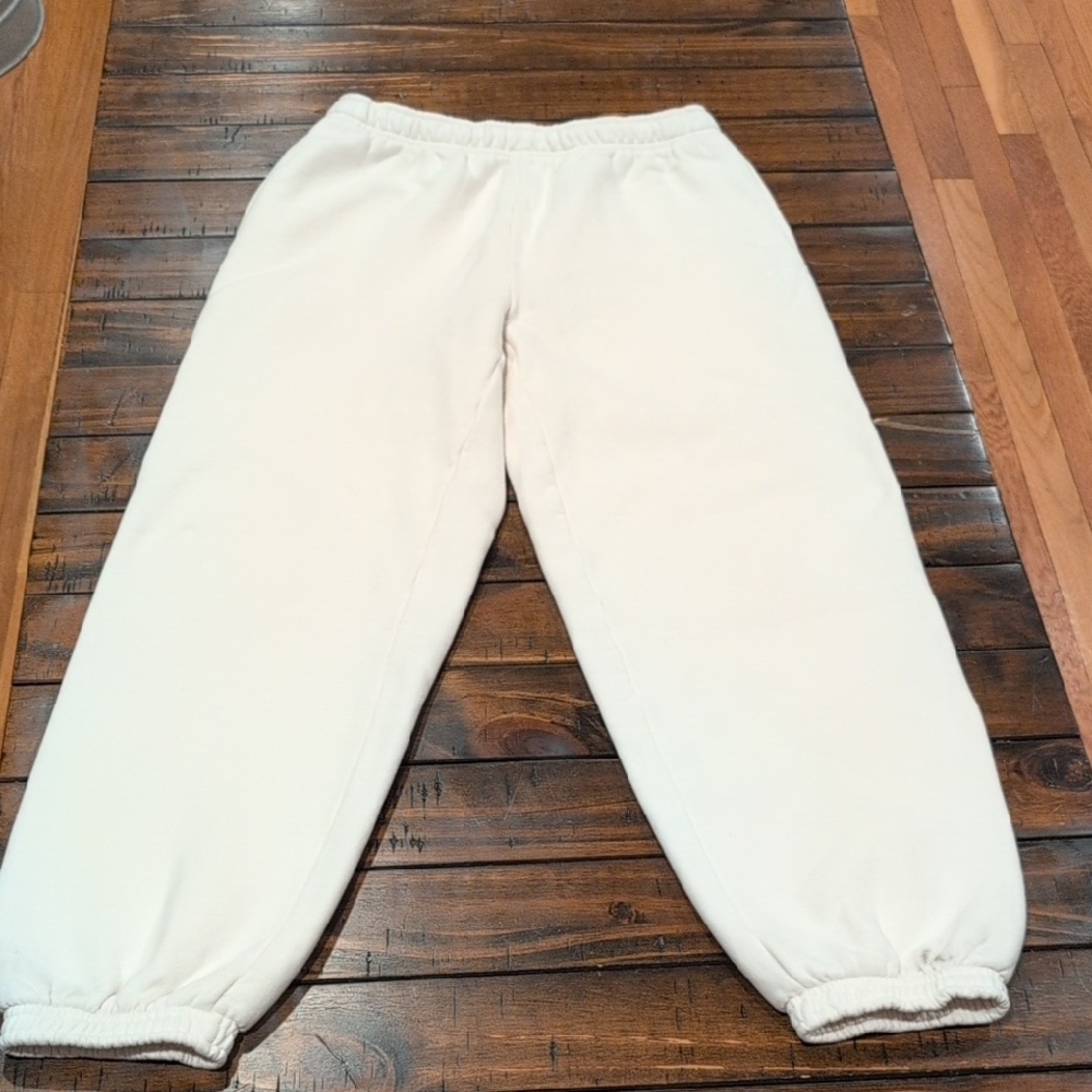 Aritzia Cozy Fleece Mega Fit Sweatpant Joggers